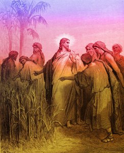 Mark-Chapter-2-The-Disciples-Pick-Corn-on-the-Sabbath